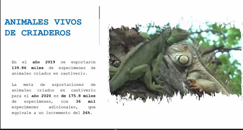 cuadro1